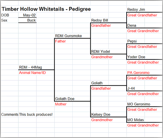 44 Mag's Pedigree