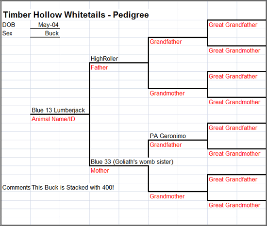 LumberJack's Pedigree